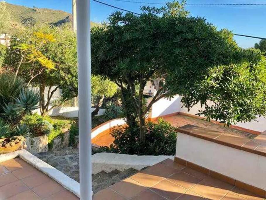 Apartment Amplio Con Jardin En Almadrava Roses